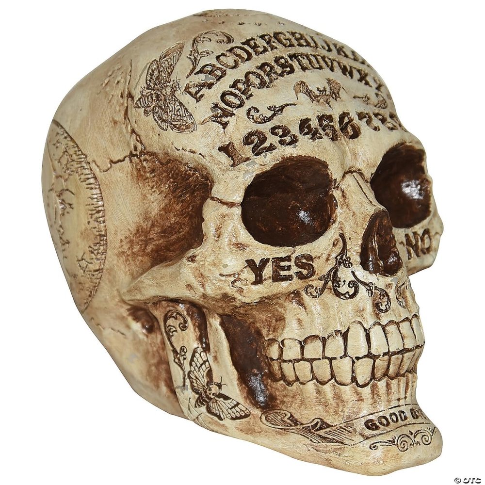 Costumes For All Occasions SS64353 7 in. Skull Fortune Telling Prop Decoration Multicoloured
