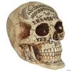 Costumes For All Occasions SS64353 7 in. Skull Fortune Telling Prop Decoration Multicoloured view 1