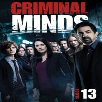 Criminal Minds: Thirteenth Season [DVD]