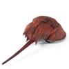 Folkmanis Horsehoe Crab Hand Puppet view 4