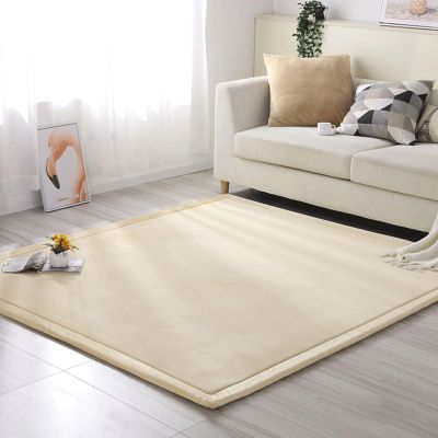 Coral Velvet Rug Nursery Bedroom PlayMat Nonslip Floor Carpet Sofa Living Room Carpet The perfect rug for sports and crawling -H-80 * 100cm