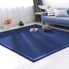 Dmkjdzsw Coral Velvet MatArea Rugs,Yoga Mat Exercise Pads,children'sLarge Foldable Play Mat, Extra Soft Activity Floor Mat Playroom Bedroom-B-150 * 200cm view 1