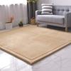 Dmkjdzsw Coral Velvet MatArea Rugs,Yoga Mat Exercise Pads,children'sLarge Foldable Play Mat, Extra Soft Activity Floor Mat Playroom Bedroom-E-150 * 150cm view 1