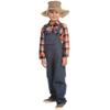 212 Main Farmer Costume, T2 Multicoloured view 1