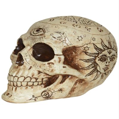 Costumes.com 7 Inch Fortune Telling Skull Prop