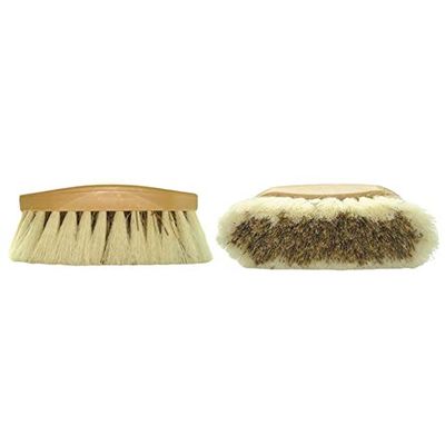 212 Main 3263-8 Pecos & Little Pecos Brush - 8.5 in.