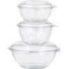 212 Main Dart Safe Seal Bowls Clear view 1