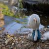 DOMIVA - Musical Plush 25 cm - ALIX ON The Water view 2