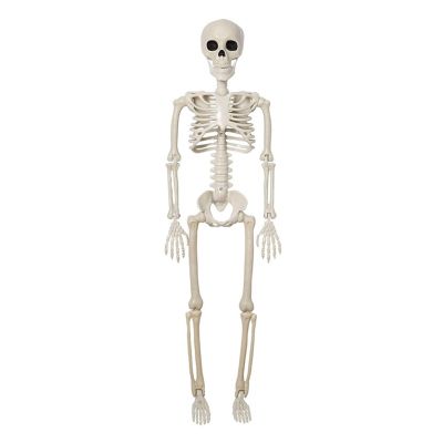 3ft/90cm Halloween Skeleton Movable Joints Full Body Skeleton Halloween Haunted House Graveyard Party Scary Decor White
