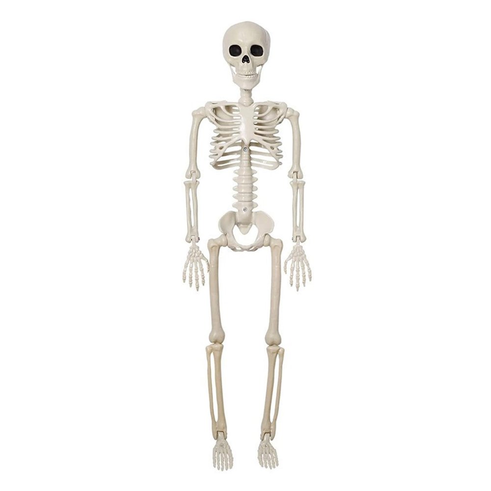 3ft/90cm Halloween Skeleton Movable Joints Full Body Skeleton Halloween Haunted House Graveyard Party Scary Decor White