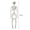 3ft/90cm Halloween Skeleton Movable Joints Full Body Skeleton Halloween Haunted House Graveyard Party Scary Decor White view 2