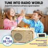 STEM Toys for Kids Age 8-14, Science Kits Educational DIY Radio Building Set - Wooden 3D Puzzle Electronics for 8-12 Year Olds view 4