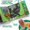 13 Realistic Animal Figures with Kids Sound Book & Storage Box, Educational Safari Animal Model Toy, Plastic Zoo Animal Figurines, Wild Themed Jungle Party Favor Birthday Gift for Toddler Boy Girl view 3