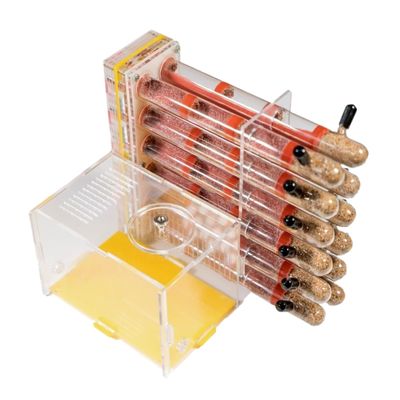 ZWSYQXIU Ant Habitat Ant Farm Ant Castle Plaster Tube Adult Ant Farm Acrylic Transparent Ant Observation Behavior Study Live Ants and Queen Ant Nest Ant House Ant Nest Farm, 17cm, Clear