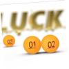 PRETYZOOM 90pcs Lottery Balls Raffle Balls for Home Party Game Numbers Easy to Find and Carry view 3