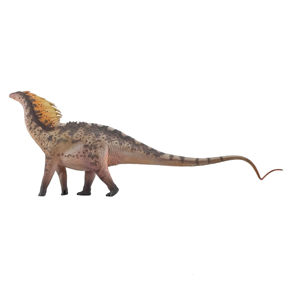 HAOLONGGOOD New Amargasaurus 135 Science and Art Model (Li Gun)