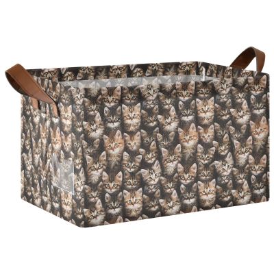 ALAZA Cute Animal Kitten Rectangular Closet Storage Box Storage Bin Basket Storage Cube with Leather Handles Nursery Storage Laundry Hamper 2 Piece