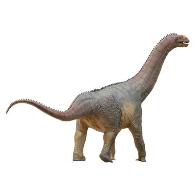 PNSO Prehistoric Dinosaur Models:85 Njor The Camarasaurus