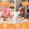 Smartwo Wooden Montessori Toys Set for Toddlers,Wooden Toy Set for Babies Educational Object Permanence Box,Xylophone(Glockenspiel),Stacking,Rattle Birthday Gift for Boys Girls Ages 1 2 3 4 5 view 4