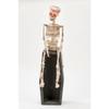 28" Animated Mummy On Coffin Black view 1