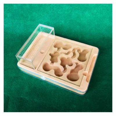 ZWSYQXIU Ant Habitat Ant Farm Ant Castle Ant Castle Plaster DIY Acrylic Ant Farm Flat Nest Palace Ant Nest Farm Watch Yourself Dig Ant House Tunnel Ant Nest Ant House Ant Nest Farm