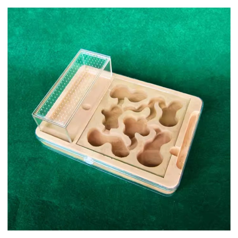 ZWSYQXIU Ant Habitat Ant Farm Ant Castle Ant Castle Plaster DIY Acrylic Ant Farm Flat Nest Palace Ant Nest Farm Watch Yourself Dig Ant House Tunnel Ant Nest Ant House Ant Nest Farm