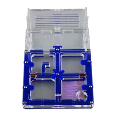 ZWSYQXIU Ant Habitat Ant Farm Ant Castle Ant Castle Acrylic Ant Farm Moisturizing Nature Display Box Puzzle Habitat Science DIY Ant Nest Farm Ant Nest Ant House Ant Nest Farm(Blue), 17.7cm