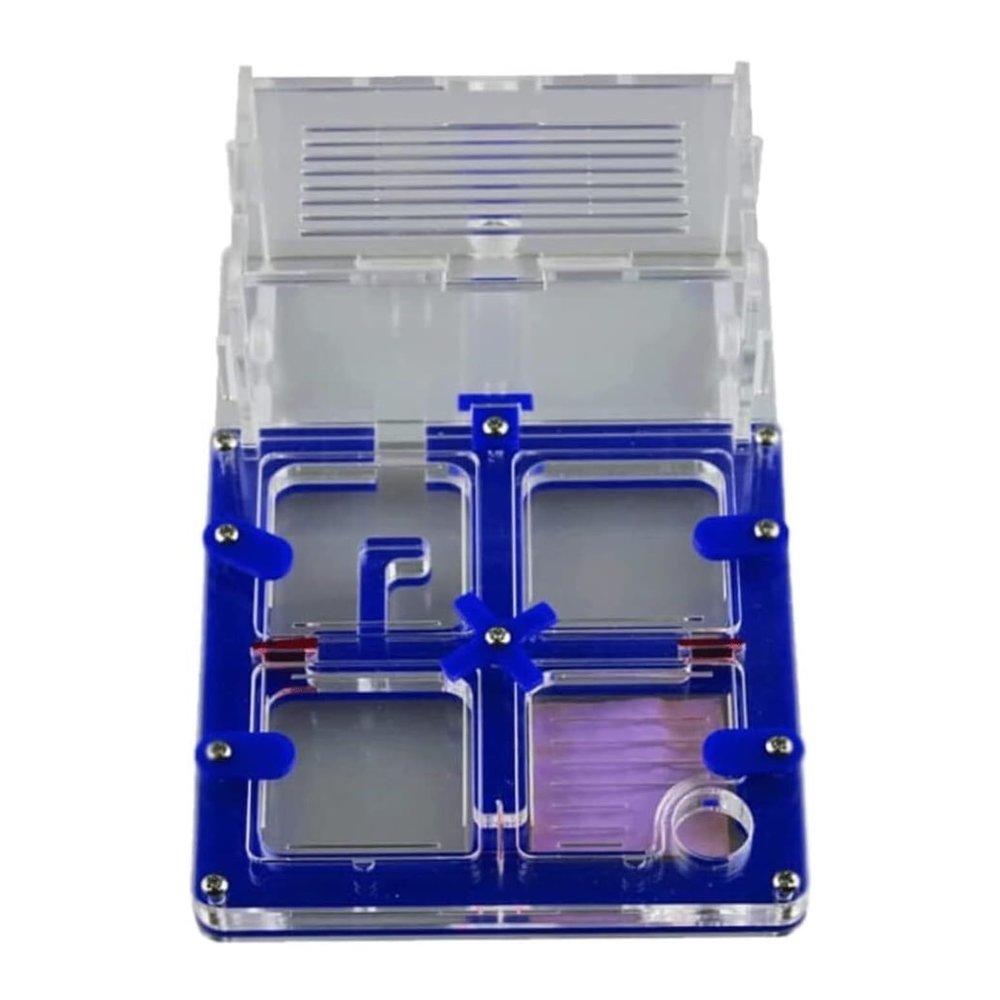 ZWSYQXIU Ant Habitat Ant Farm Ant Castle Ant Castle Acrylic Ant Farm Moisturizing Nature Display Box Puzzle Habitat Science DIY Ant Nest Farm Ant Nest Ant House Ant Nest Farm(Blue), 17.7cm