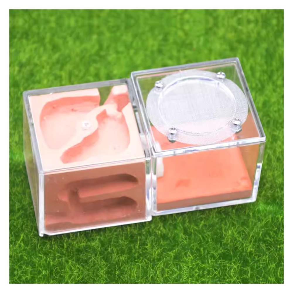 ZWSYQXIU Ant Habitat Ant Farm Ant Castle Ant Farm Castle Ant Castle Acrylic Ant Nest Plaster Ant Nest Farm Acrylic Nest Palace Easy to Install Ant Nest Ant House Ant Nest Farm(Red), 12cm