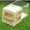 ZWSYQXIU Ant Habitat Ant Farm Ant Castle Ant Farm Castle Ant Castle Acrylic Ant Nest Plaster Ant Nest Farm Acrylic Nest Palace Easy to Install Ant Nest Ant House Ant Nest Farm(Red), 12cm view 3