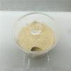 ZWSYQXIU Ant Habitat Ant Farm Ant Castle Ant Castle Cup Nest Queen Cultivation Nest Plaster Ant Farm Suitable for 10 Or Less Ant Feeding Box Ant Nest Ant House Ant Nest Farm view 3