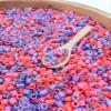 4 Cups of Valentine's Day Ditalini Pasta Sensory Bin Filler for Sensory Table view 3