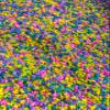 4 Cups of Tropical Rainbow Alphabet Pasta Sensory Filler for Sensory Table view 4