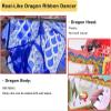 BMPAALN Dragon Ribbon Streamer, Dragon Dance Ribbon Streamers Student Flinging Poi/Dancer, Body Exercise Shake Flag Kite with Dragon Head Props, Ribbon Scale(Black,5 m(16.4ft)) view 3