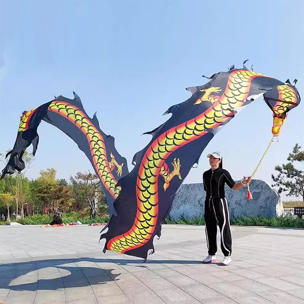BMPAALN Dragon Ribbon Streamer, Dragon Poi Dragon Poi Kite Silk Washable, Adult Ribbon Dancer Streamer with Head, Flinging Art Scales Dancer Flag(Black,8M(26FT))