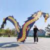 BMPAALN Dragon Ribbon Streamer, Dragon Poi Dragon Poi Kite Silk Washable, Adult Ribbon Dancer Streamer with Head, Flinging Art Scales Dancer Flag(Black,8M(26FT)) view 1
