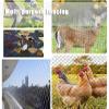 Balcony Net,Balcony Safety Net Heavy Duty Anti Bird Netting Fence for Prevention Squirrels Deer, Cuttable Trellis Cover(35x35m(115x115ft)) view 2