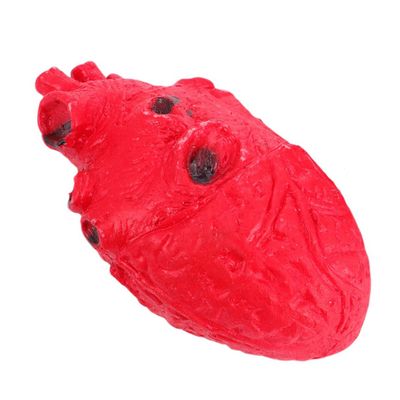 Abaodam Halloween Prank Prop Simulation Organ Prop Realistic Fake Heart Scare Your Friends