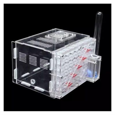 ZWSYQXIU Ant Habitat Ant Farm Ant Castle Ecosystem Ant Castle Feeding System Habitat Tool Ant Farm with Hydration Ant Nest Farm Ant Nest Ant House Ant Nest Farm, 15cm, Clear