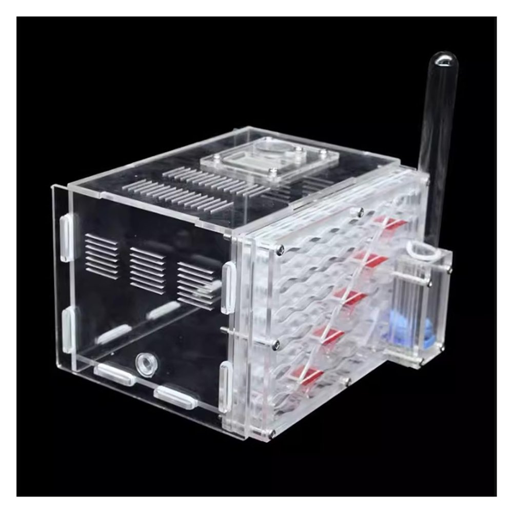 ZWSYQXIU Ant Habitat Ant Farm Ant Castle Ecosystem Ant Castle Feeding System Habitat Tool Ant Farm with Hydration Ant Nest Farm Ant Nest Ant House Ant Nest Farm, 15cm, Clear