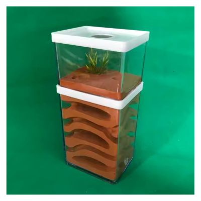 ZWSYQXIU Ant Habitat Ant Farm Ant Castle Ant Castle Transparent Plastic Ant Farm Gypsum Ant Workshop Ant Nest Farm Feeding Box Ant Nest Castle Ant Nest Ant House Ant Nest Farm