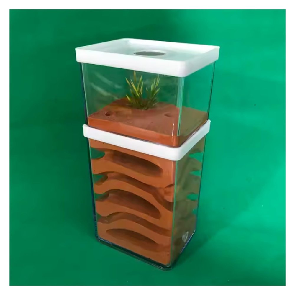 ZWSYQXIU Ant Habitat Ant Farm Ant Castle Ant Castle Transparent Plastic Ant Farm Gypsum Ant Workshop Ant Nest Farm Feeding Box Ant Nest Castle Ant Nest Ant House Ant Nest Farm