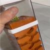 ZWSYQXIU Ant Habitat Ant Farm Ant Castle Ant Castle Transparent Plastic Ant Farm Gypsum Ant Workshop Ant Nest Farm Feeding Box Ant Nest Castle Ant Nest Ant House Ant Nest Farm view 4