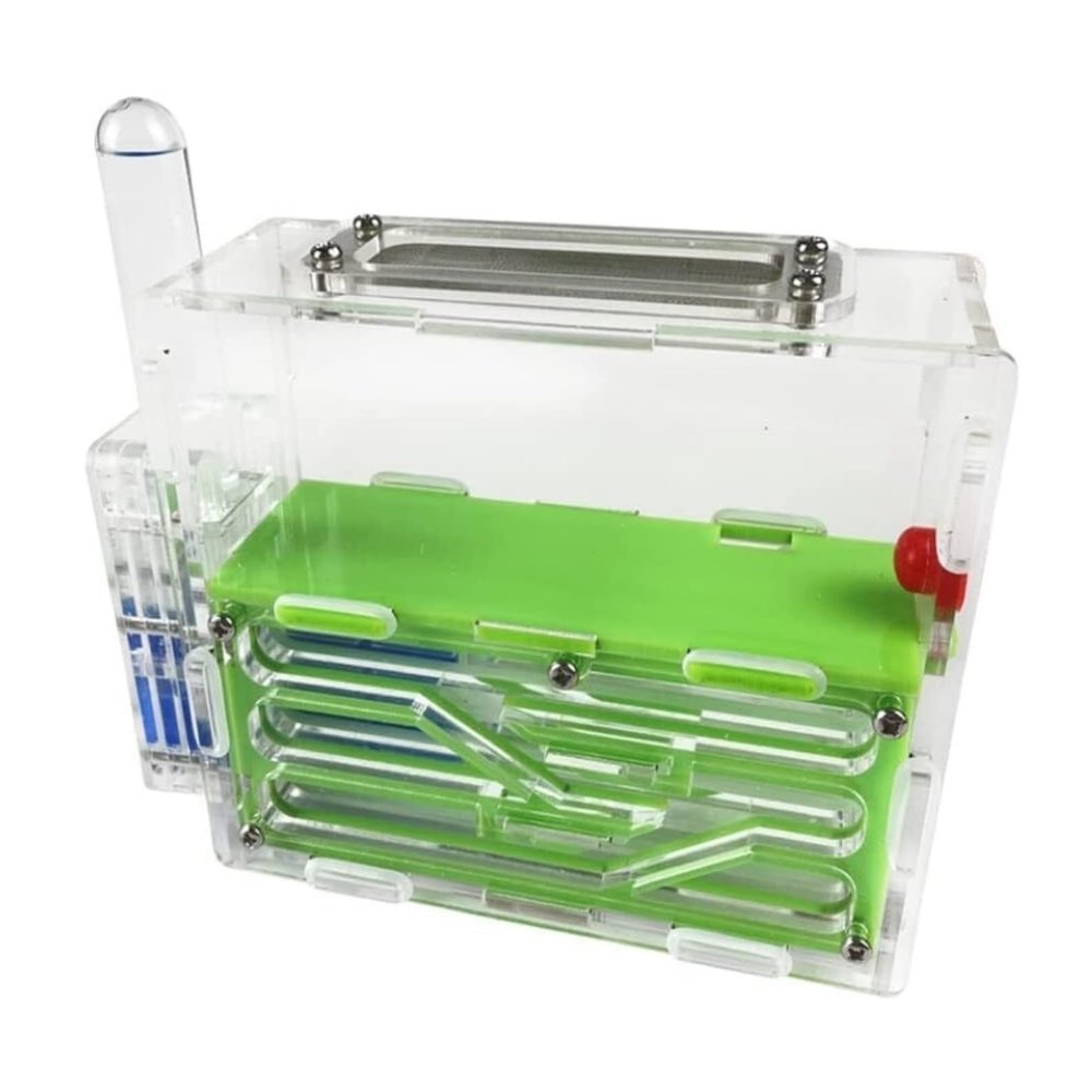 ZWSYQXIU Ant Habitat Ant Farm Ant Castle Ant Castle Acrylic Ant Farm Science Observation DIY Ant Nest Farm Ant Workshop Ant Nest Ant House Ant Nest Farm(Green), 15cm