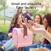 Karaoke Machine for Kids and Adults, Mini Portable Bluetooth Speaker with 2 Wireless Microphones and Lights for Girls Boys Family Home Party (Pinkcolor) view 4
