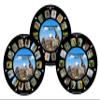 Animals of The Wild, Viewfinder reels with 3D Images (Set of 3 Reels) 21-3D Images Compatible with Classic Viewmaster and Image3D Viewers view 1