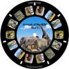 Animals of The Wild, Viewfinder reels with 3D Images (Set of 3 Reels) 21-3D Images Compatible with Classic Viewmaster and Image3D Viewers view 2