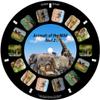 Animals of The Wild, Viewfinder reels with 3D Images (Set of 3 Reels) 21-3D Images Compatible with Classic Viewmaster and Image3D Viewers view 3