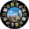 Animals of The Wild, Viewfinder reels with 3D Images (Set of 3 Reels) 21-3D Images Compatible with Classic Viewmaster and Image3D Viewers view 4