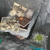 10 Pc 1/6 Scale Old Library Prop Books for 12 Inch Figure Miniature Doll Accessory by Little Things of Interest view 4